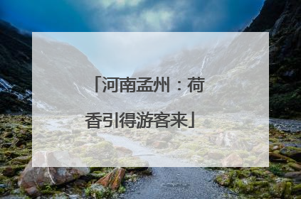河南孟州：荷香引得游客来
