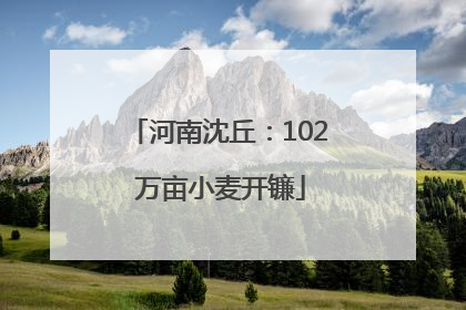 河南沈丘：102 万亩小麦开镰