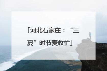 河北石家庄：“三夏”时节麦收忙