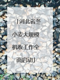河北省冬小麦大规模机收工作全面启动