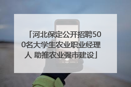 河北保定公开招聘500名大学生农业职业经理人 助推农业强市建设