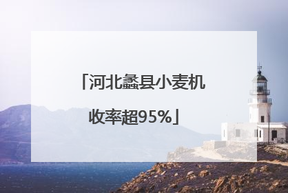河北蠡县小麦机收率超95%