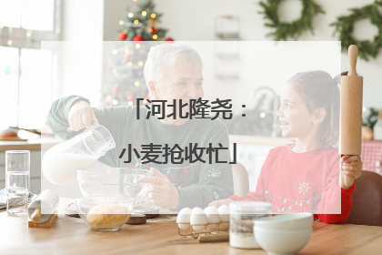 河北隆尧：小麦抢收忙