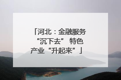 河北：金融服务“沉下去” 特色产业“升起来”