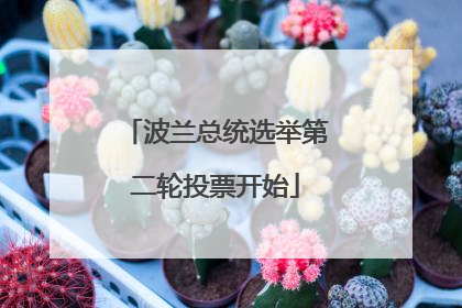 波兰总统选举第二轮投票开始