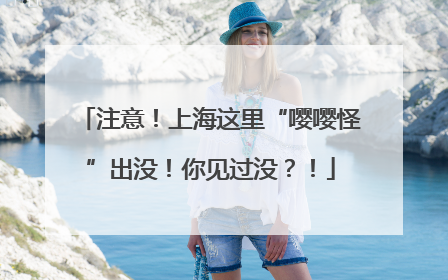 注意！上海这里“嘤嘤怪”出没！你见过没？！