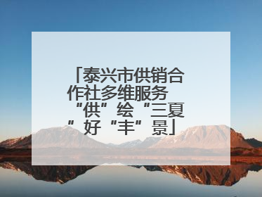泰兴市供销合作社多维服务 “供”绘“三夏”好“丰”景