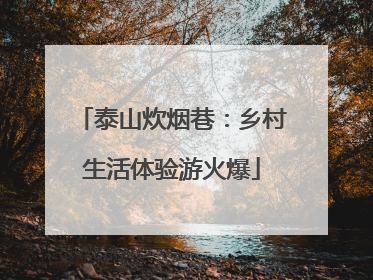 泰山炊烟巷：乡村生活体验游火爆