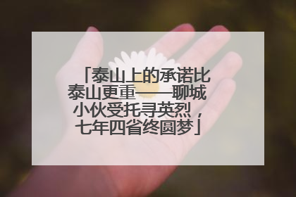 泰山上的承诺比泰山更重——聊城小伙受托寻英烈，七年四省终圆梦