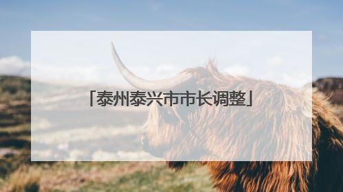 泰州泰兴市市长调整