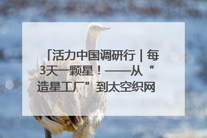 活力中国调研行｜每3天一颗星！——从“造星工厂”到太空织网的“银河速度”