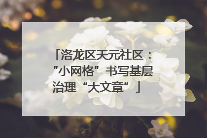 洛龙区天元社区：“小网格”书写基层治理“大文章”
