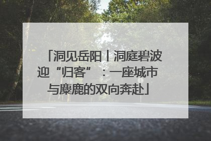 洞见岳阳丨洞庭碧波迎“归客”：一座城市与麋鹿的双向奔赴