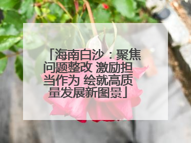 海南白沙：聚焦问题整改 激励担当作为 绘就高质量发展新图景