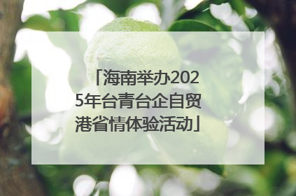 海南举办2025年台青台企自贸港省情体验活动