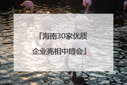 海南30家优质企业亮相中博会