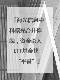 海光信息中科曙光合并停牌，资金杀入ETF基金找“平替”