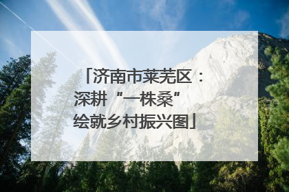 济南市莱芜区：深耕“一株桑” 绘就乡村振兴图
