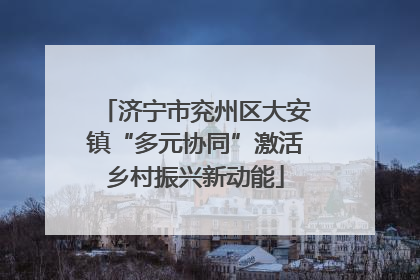 济宁市兖州区大安镇“多元协同”激活乡村振兴新动能