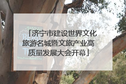 济宁市建设世界文化旅游名城暨文旅产业高质量发展大会开幕