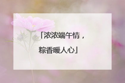 浓浓端午情，粽香暖人心