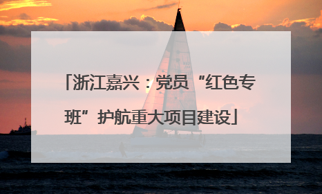 浙江嘉兴：党员“红色专班”护航重大项目建设