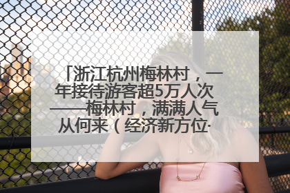 浙江杭州梅林村，一年接待游客超5万人次——梅林村，满满人气从何来（经济新方位·农村消费观察）