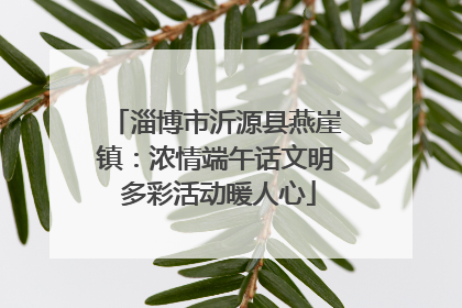 淄博市沂源县燕崖镇：浓情端午话文明 多彩活动暖人心