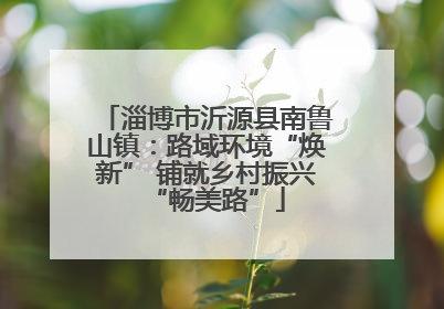 淄博市沂源县南鲁山镇：路域环境“焕新” 铺就乡村振兴“畅美路”