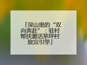 深山里的“双向奔赴”：驻村帮扶激活茅坪村致富引擎