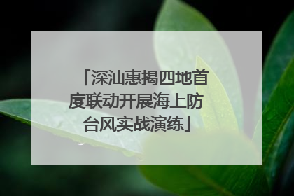 深汕惠揭四地首度联动开展海上防台风实战演练