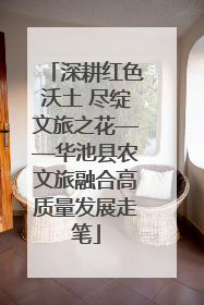 深耕红色沃土 尽绽文旅之花——华池县农文旅融合高质量发展走笔