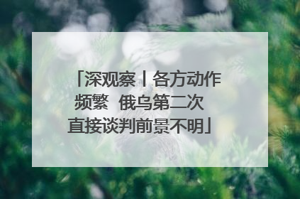 深观察丨各方动作频繁  俄乌第二次直接谈判前景不明