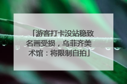 游客打卡没站稳致名画受损，乌菲齐美术馆：将限制自拍