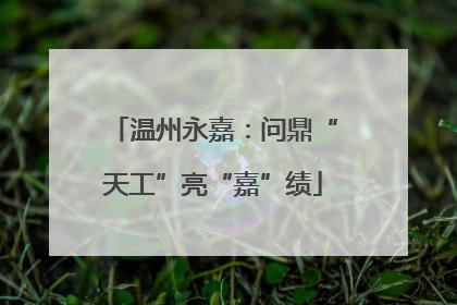 温州永嘉：问鼎“天工”亮“嘉”绩