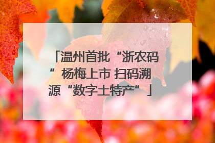 温州首批“浙农码”杨梅上市 扫码溯源“数字土特产”