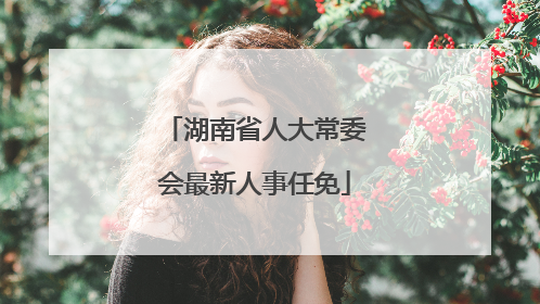 湖南省人大常委会最新人事任免