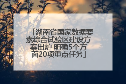 湖南省国家数据要素综合试验区建设方案出炉 明确5个方面20项重点任务
