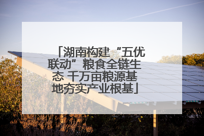 湖南构建“五优联动”粮食全链生态 千万亩粮源基地夯实产业根基