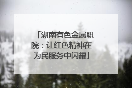 湖南有色金属职院：让红色精神在为民服务中闪耀