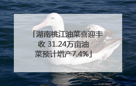 湖南桃江油菜喜迎丰收 31.24万亩油菜预计增产7.4%