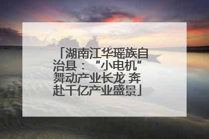 湖南江华瑶族自治县：“小电机”舞动产业长龙 奔赴千亿产业盛景