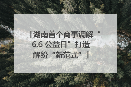 湖南首个商事调解“6.6 公益日”打造解纷“新范式”
