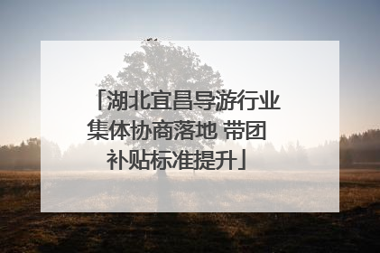湖北宜昌导游行业集体协商落地 带团补贴标准提升