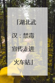 湖北武汉：禁毒宣传走进火车站