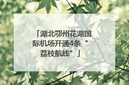 湖北鄂州花湖国际机场开通4条“荔枝航线”