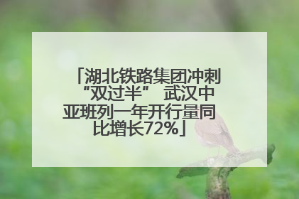 湖北铁路集团冲刺“双过半” 武汉中亚班列一年开行量同比增长72%