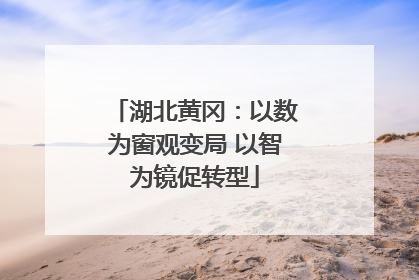 湖北黄冈：以数为窗观变局 以智为镜促转型