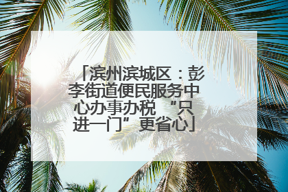 滨州滨城区：彭李街道便民服务中心办事办税 “只进一门”更省心