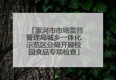 漯河市市场监督管理局城乡一体化示范区分局开展校园食品专项检查